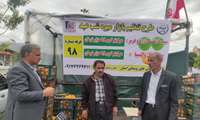 گزارش عملکرد مدیریت جهاد کشاورزی چرام در دوران جنگ تحمیلی تاکنون؛ حمایت همه‌جانبه از کشاورزان و مردم 